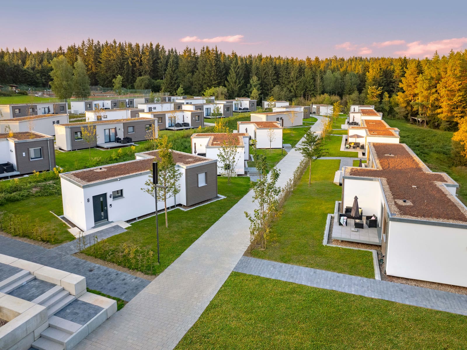 Das Tiny House Village von oben mit Wald im Hintergrund